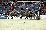 WIHS2-10-28-10-4724-ChesterWeber-DDeRosaPhoto.jpg
