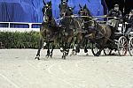 WIHS2-10-28-10-4727-ChesterWeber-DDeRosaPhoto.jpg