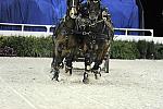 WIHS2-10-28-10-4728-ChesterWeber-DDeRosaPhoto.jpg