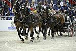 WIHS2-10-28-10-4734-ChesterWeber-DDeRosaPhoto.jpg