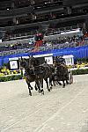 WIHS2-10-28-10-DSC_7928-ChesterWeber-DDeRosaPhoto.jpg