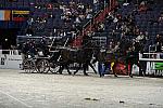 WIHS2-10-30-10-8665-ChesterWeber-DDeRosaPhoto.jpg