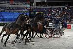 WIHS2-10-30-10-8667-ChesterWeber-DDeRosaPhoto.jpg