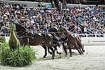 WIHS2-10-30-10-8669-ChesterWeber-DDeRosaPhoto.jpg