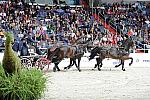 WIHS2-10-30-10-8670-ChesterWeber-DDeRosaPhoto.jpg