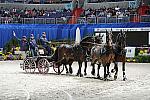 WIHS2-10-30-10-8671-ChesterWeber-DDeRosaPhoto.jpg