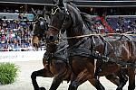 WIHS2-10-30-10-8674-ChesterWeber-DDeRosaPhoto.jpg