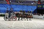 WIHS2-10-30-10-8675-ChesterWeber-DDeRosaPhoto.jpg