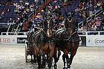 WIHS2-10-30-10-8679-ChesterWeber-DDeRosaPhoto.jpg