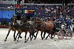 WIHS2-10-30-10-8681-ChesterWeber-DDeRosaPhoto.jpg