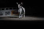 WIHS2-10-29-10-6539-PamGoodrich-Lamborghini-DDeRosaPhoto.jpg