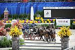 WIHS2-10-29-10-6562-ChesterWeber-DDeRosaPhoto.jpg