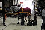 WIHS2-2010-WEG_0481-DDeRosaPhoto.jpg