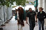 WIHS2-2010-WEG_0635-DDeRosaPhoto.jpg