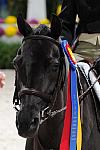 WIHS3-10-31-10-RegPnyHtrGrandChamp-LocHtrFinals-Pny-0291-RockStar-ElizabethParent-DDeRosaPhoto.jpg