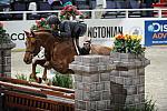 WIHS1-10-26-10-Cl23-1stYrHndyHtr-DSC_7684-SailorsValentine-LouiseSerio-DDeRosaPhoto.jpg