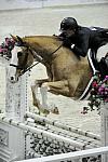 WIHS1-10-26-10-Cl62-A-O-Htr-o35-8877-PickAColor-SonyaSvaty-DDeRosaPhoto.jpg