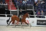 WIHS-10-26-10-Cl187-WIHSAdHtrCh-9730-EyeRememberRio-VictoriaWatters-DDeRosaPhoto.jpg