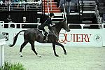 WIHS-10-26-10-Cl187-WIHSAdHtrCh-9831-Delorian-LaraMcPherson-DDeRosaPhoto.jpg