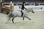 WIHS1-10-26-10-Cl12-RgConfHtr-7442-Listen-KelleyFarmer-DDeRosaPhoto.jpg