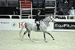 WIHS1-10-26-10-Cl3-GrConfHtr-7747-SteelMyHeart-WinnAlden-DDeRosaPhoto.jpg