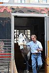 WIHS-10-25-10-Setup-0428-DDeRosaPhoto.jpg