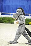 WIHS2-10-28-10-4394-DDeRosaPhoto.jpg