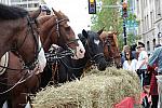 WIHS2-10-27-10-BreakfastMtdPolice-0490-DDeRosaPhoto.jpg