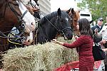 WIHS2-10-27-10-BreakfastMtdPolice-0512-DDeRosaPhoto.jpg