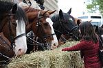 WIHS2-10-27-10-BreakfastMtdPolice-0513-DDeRosaPhoto.jpg