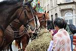 WIHS2-10-27-10-BreakfastMtdPolice-0554-DDeRosaPhoto.jpg