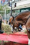 WIHS2-10-27-10-BreakfastMtdPolice-0589-DDeRosaPhoto.jpg
