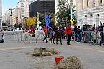 WIHS3-10-30-10-DSC_8183-KidsDay-DDeRosaPhoto.jpg