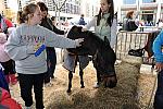 WIHS3-10-30-10-DSC_8240-KidsDay-DDeRosaPhoto.jpg