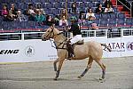 WIHS2-10-27-10-MilitaryPolo-2086-DDeRosaPhoto.jpg