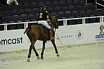 WIHS2-10-27-10-MilitaryPolo-2101-DDeRosaPhoto.jpg