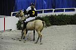 WIHS2-10-27-10-MilitaryPolo-2119-DDeRosaPhoto.jpg