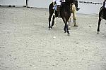 WIHS2-10-27-10-MilitaryPolo-2136-DDeRosaPhoto.jpg