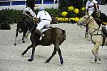 WIHS2-10-27-10-MilitaryPolo-2138-DDeRosaPhoto.jpg
