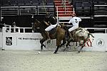 WIHS2-10-27-10-MilitaryPolo-2144-DDeRosaPhoto.jpg
