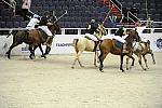 WIHS2-10-27-10-MilitaryPolo-2147-DDeRosaPhoto.jpg