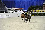 WIHS2-10-27-10-MilitaryPolo-2172-DDeRosaPhoto.jpg