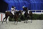 WIHS2-10-27-10-MilitaryPolo-2190-DDeRosaPhoto.jpg