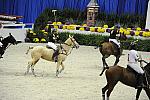 WIHS2-10-27-10-MilitaryPolo-2206-DDeRosaPhoto.jpg