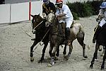 WIHS2-10-27-10-MilitaryPolo-2214-DDeRosaPhoto.jpg