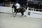 WIHS2-10-27-10-MilitaryPolo-2236-DDeRosaPhoto.jpg