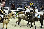WIHS2-10-27-10-MilitaryPolo-2242-DDeRosaPhoto.jpg