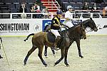 WIHS2-10-27-10-MilitaryPolo-2244-DDeRosaPhoto.jpg