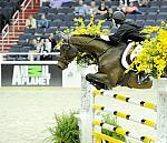 Animal_Planet-WIHS2-10-28-10-4921-DDeRosaPhoto-crop.jpg