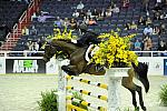 Animal_Planet-WIHS2-10-28-10-4921-DDeRosaPhoto.jpg